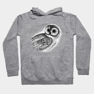 Mystic Owl Hoodie